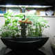 Image for article titled 14 High-Tech Farms Where Veggies Grow Indoors